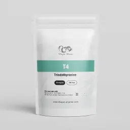 T4